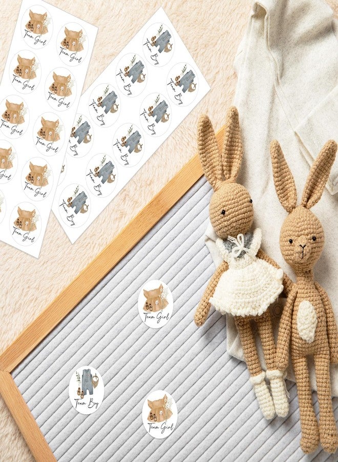 JarThenaAMCS 100Pcs Gender Reveal Paper Sticker Baby Onesie Clothes Decal Team Boy or Girl Self-Adhesive Sticker for Baby Shower Card Party Supplies, 2 in - Image 4