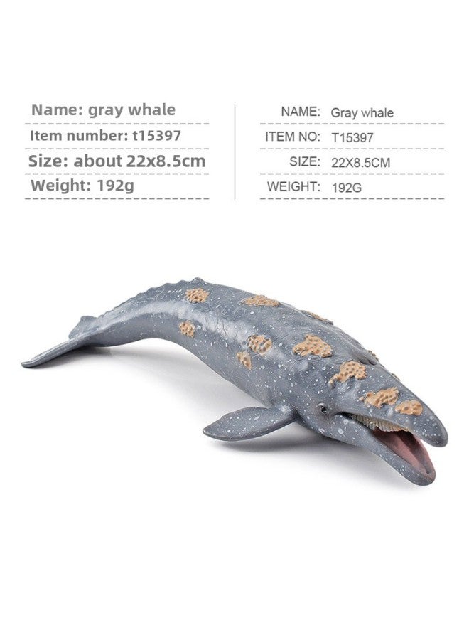 Simulation Whale Shark Tiger Shark Marine Biological Model Deep Sea Prehistoric Ancient Deng's Fish Trilobite Animal Model-Color:T15397 Gray Whale 192g