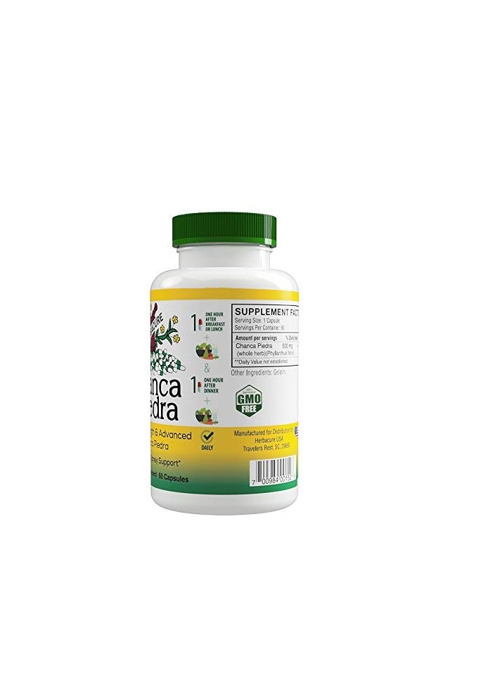 Herbacure Chanca Piedra 500 mg 60 Capsules (Stonebreaker) - Image 2
