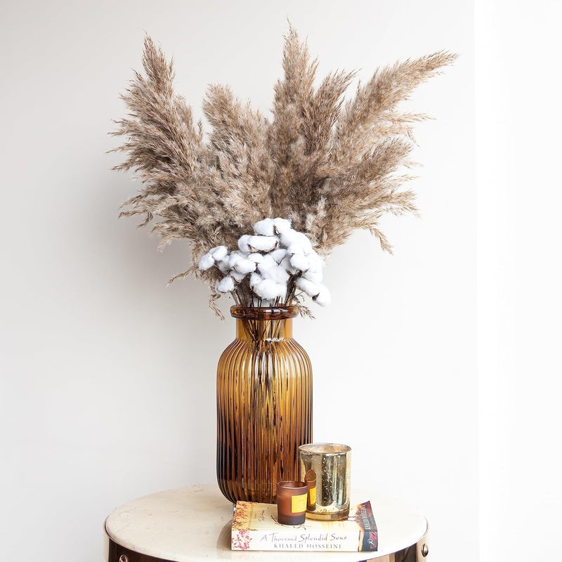 Flowers and Fillers Flowers and Fillers Pampass Grass 10 Sticks Cotton Sticks 15 Sticks for Table Decoration Vase Filler Home Dcor Boho Style 