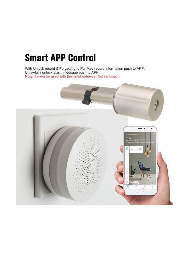 Xiaomi Mijia Aqara Smart Door Lock Core With Keys Silver - Image 2
