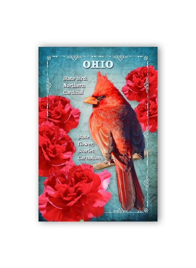 Postcard Fair - Ohio Bird And Flower Postcard Set Of 20 Identical Postcards. Oh State Symbols Post Cards. Made In Usa. - Image 1