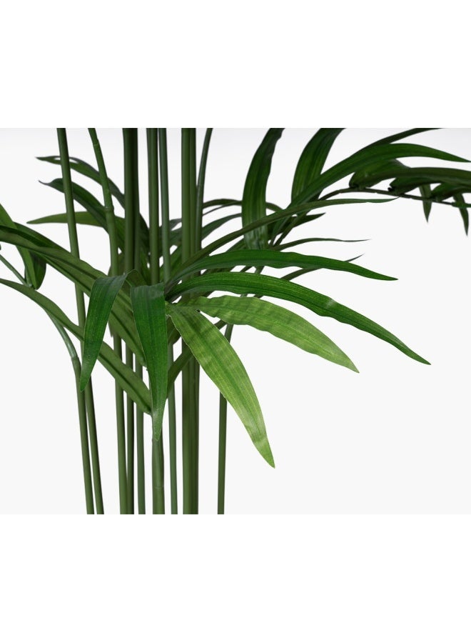 2XL Home Robusta Palm Tree  - Image 2