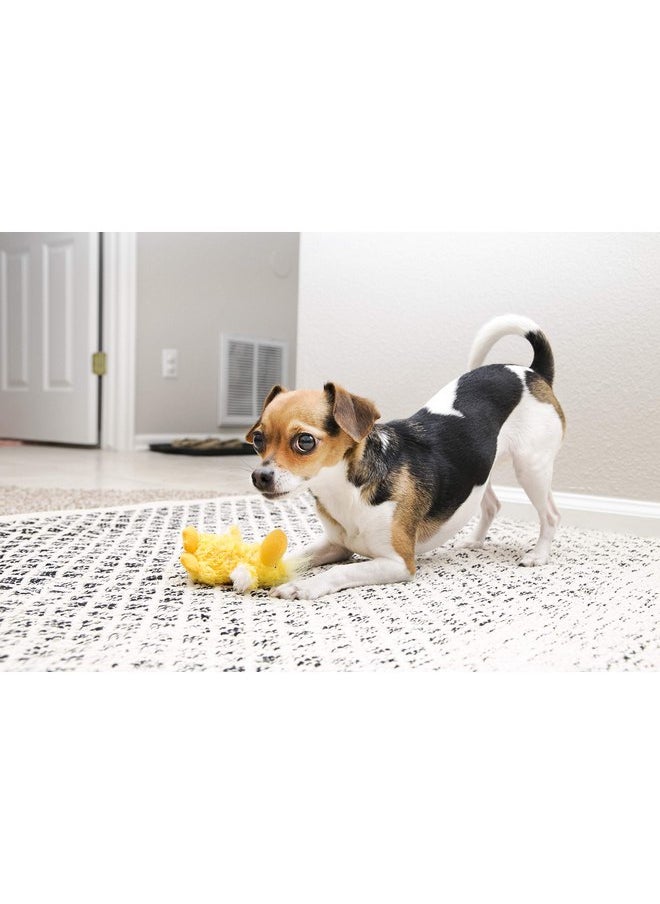 Kong - KONG - Plush, Low Stuffing Squeak Duck Dog Toy - Replacement Squeaker Included- For Small Dogs - Image 1