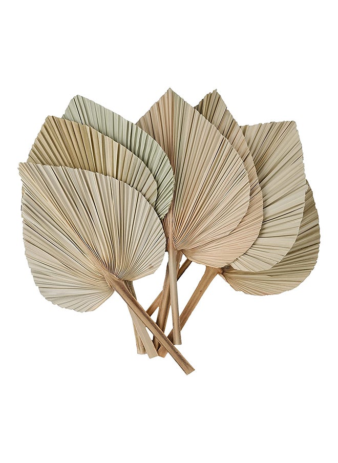 Generic 3-Piece Natural Dried Palm Leaves - Real Fan Palm Fronds Hand-Trimmed Into Decorative Palm Spears For Centrepieces, Floral Arrangements, Wall Art, And More  - Image 1