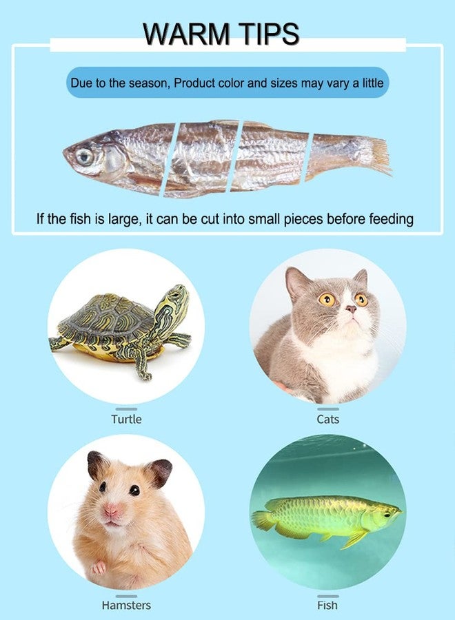 BNYEE 7 OZ Dried River Fish - 100% Natural Food for Turtles, Terrapins, Cats, Reptiles, Large Tropicals,Rodents - Image 5