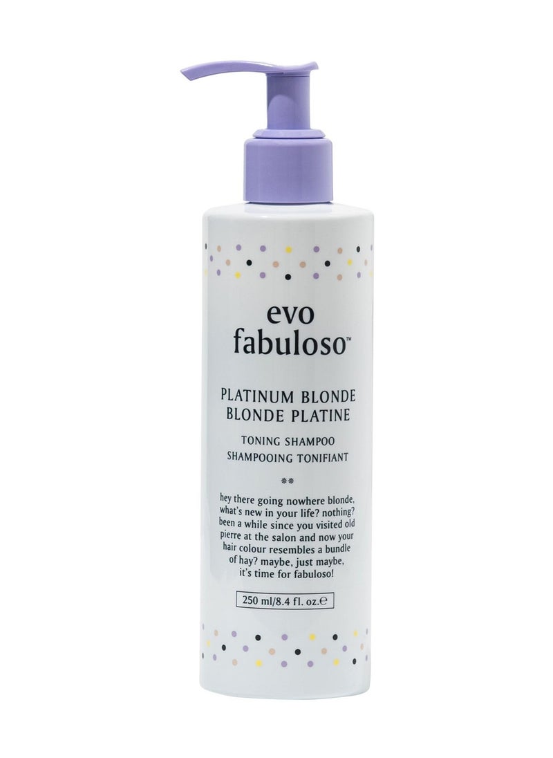 EVO Evo Fabuloso Platinum Blonde Toning Shampoo 250ml  - Image 1