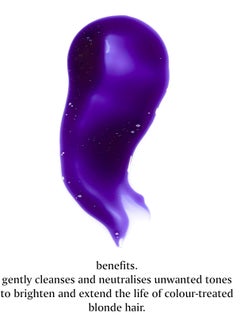 EVO Evo Fabuloso Platinum Blonde Toning Shampoo 250ml  - Image 5