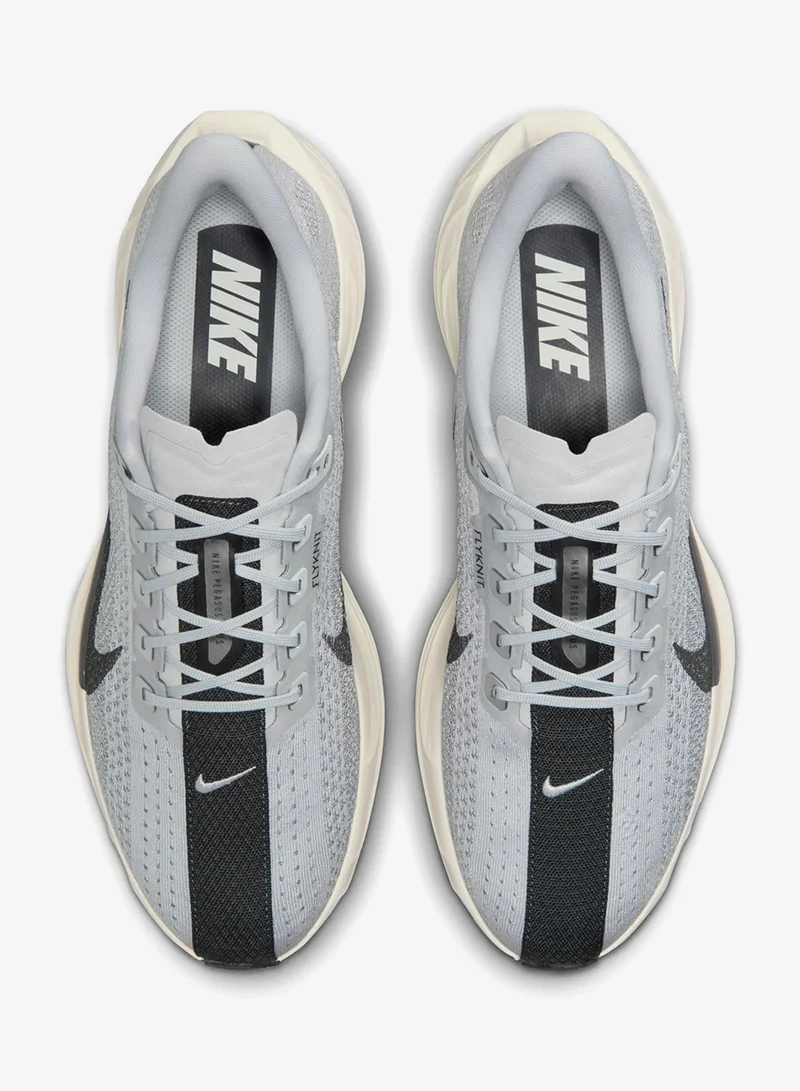 Nike Pegasus Plus