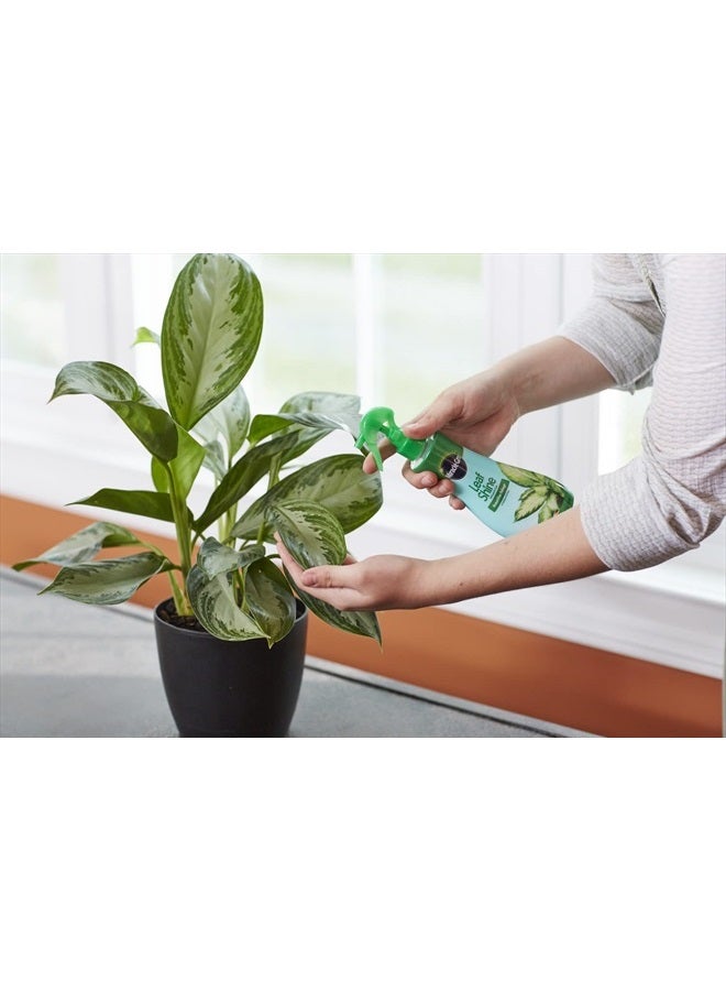 Miracle-Gro لمعان الأوراق، 8 أونصة خضراء - Image 3