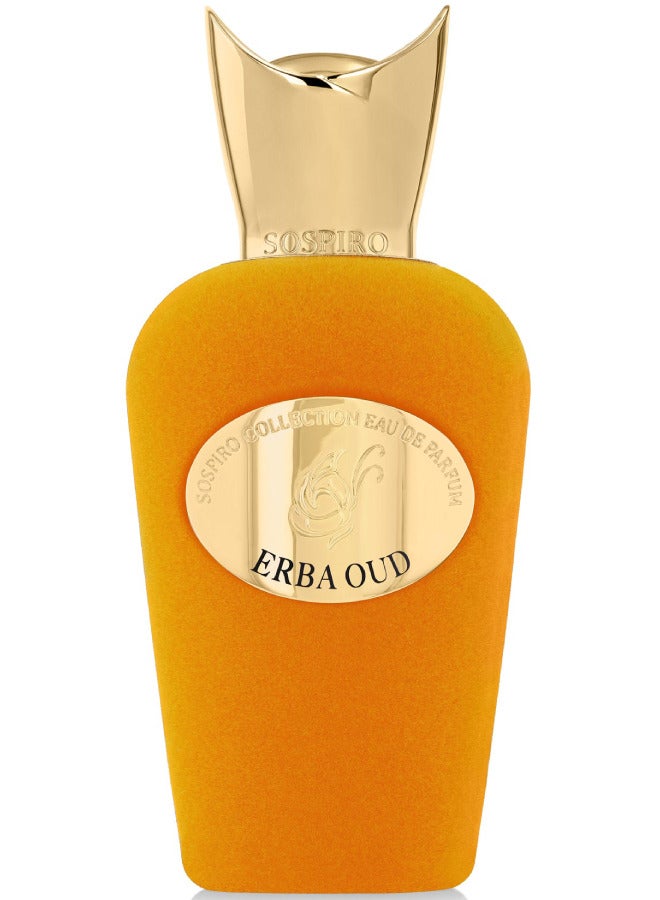 SOSPIRO Erba Oud EDP 100ml - Image 1