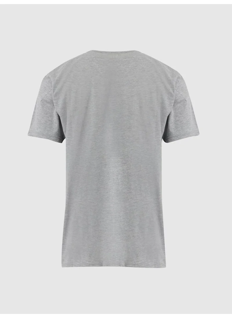 LTB Men's Gray T-shirt
