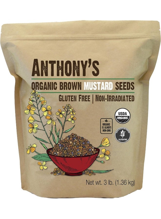 Anthony's بذور الخردل البني العضوي من أنتوني - 3 رطل - Image 1