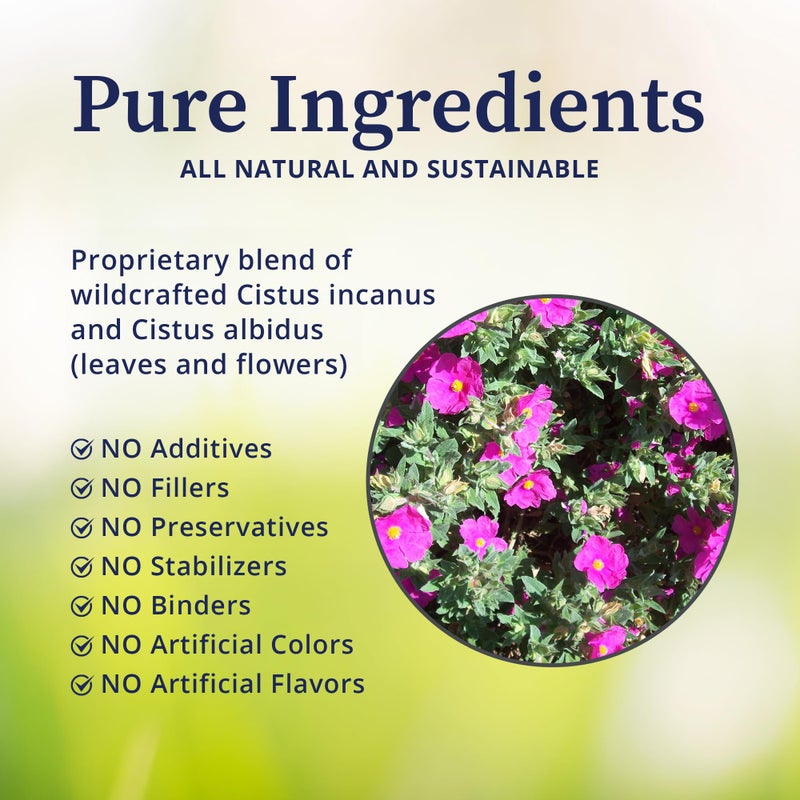 BioPure Cistus Loose Tea â€“ 3.5oz - Image 2