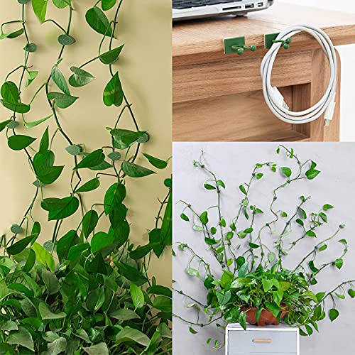 LUCKJUJU 100 Pcs Plant Climbing Wall Fixture Clips Self-Adhesive Hook Vines Traction Clips Invisible Holder Garden Green Leaf Simulation Self-Adhesive Hook Wire Fixing Supporting - Image 4