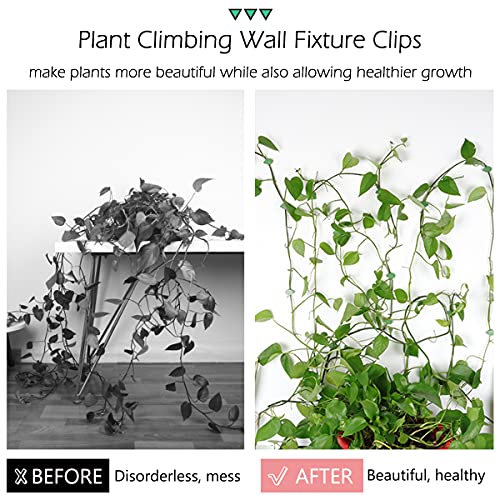 LUCKJUJU 100 Pcs Plant Climbing Wall Fixture Clips Self-Adhesive Hook Vines Traction Clips Invisible Holder Garden Green Leaf Simulation Self-Adhesive Hook Wire Fixing Supporting - Image 3