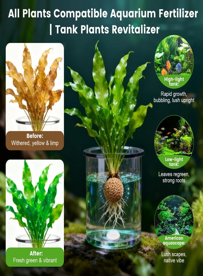 Maozyiltle Root Tabs, Aquarium Plant Fertilizer, Aquarium Water Care Tabs, 100 Tabs Aquarium Plant Food Safe for Fish and Shrimp, Aquatic Plant Fertilizer for Planted Aquarium Substrate (100) - Image 2