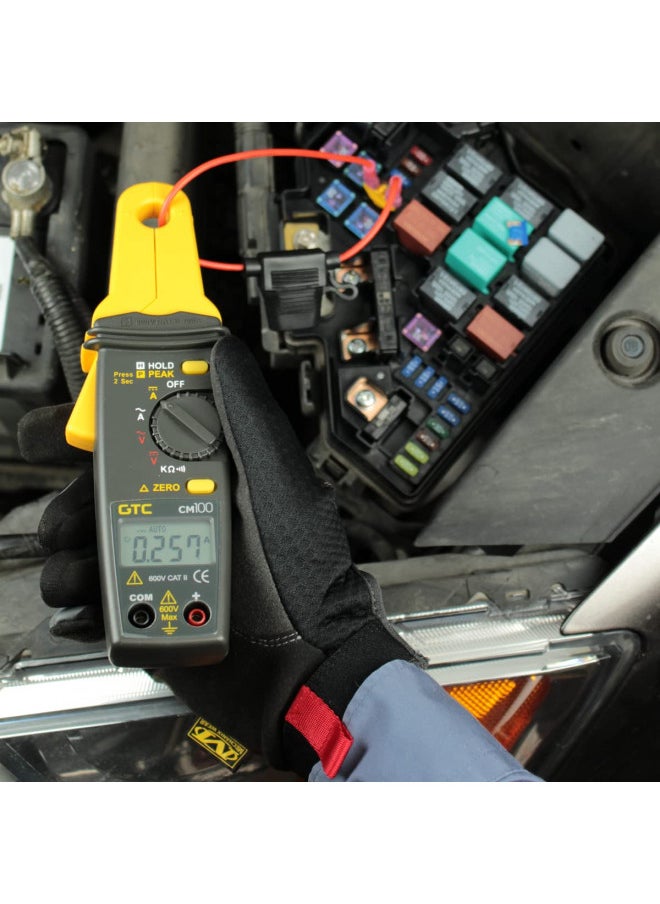 GTC CM100 1 mA to 100 Amps AC/DC Low Current Clamp Meter by General Technologies Corp