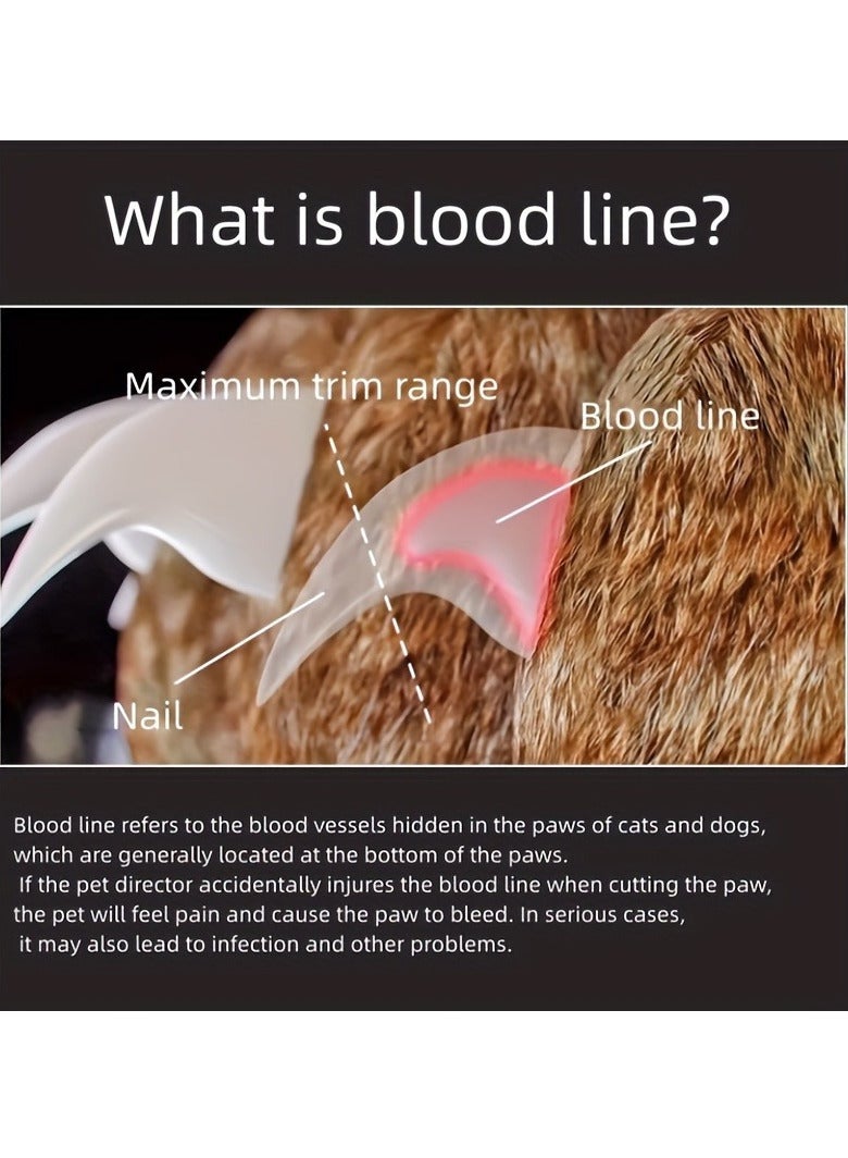 إيفرين مقصات أظافر الحيوانات الأليفة الدقيقة LED - تصميم مقص آمن وسهل للقطط والكلاب - قاطعة مخالب احترافية من الدرجة الأولى - أداة قص أظافر عالية الجودة للحيوانات الأليفة الصغيرة والكبيرة - Image 3