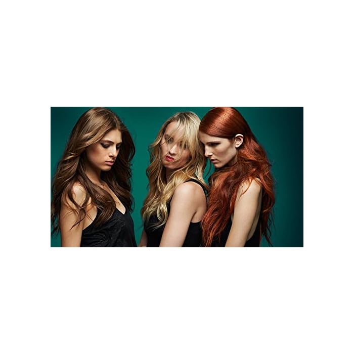 Rita Hazan True Color Conditioner For Color Treated Hair Hydrates Without Weighing Hair Down, 8.0 oz - Image 3