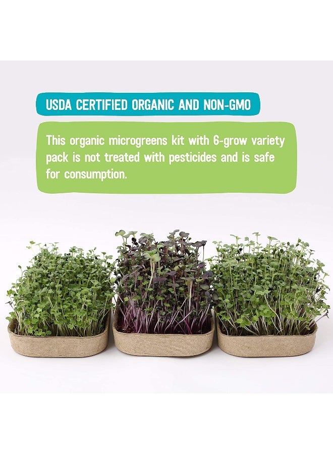 Back to the Roots DIY Microgreen Grow Kit, 6-Grow Variety Pack  - Image 2