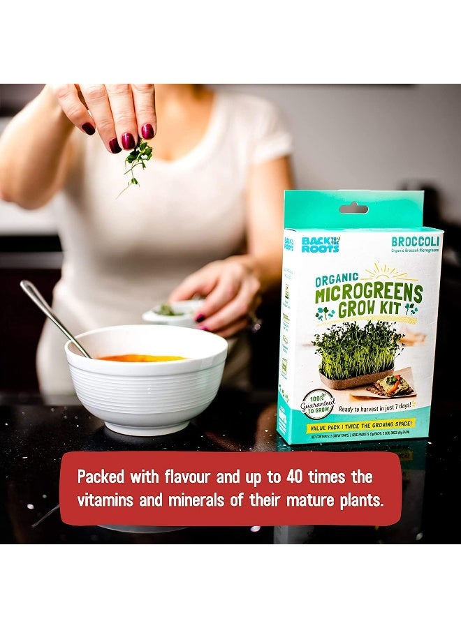 Back to the Roots DIY Microgreen Grow Kit, 6-Grow Variety Pack  - Image 4