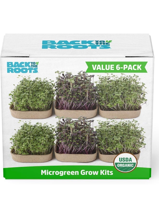 Back to the Roots DIY Microgreen Grow Kit, 6-Grow Variety Pack  - Image 1
