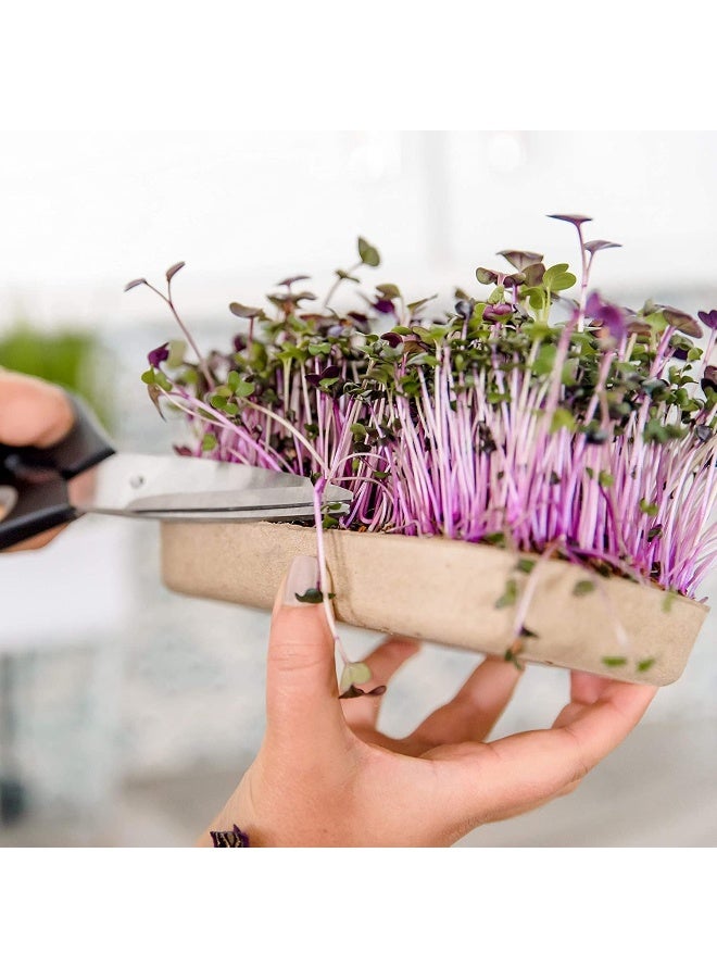 Back to the Roots DIY Microgreen Grow Kit, 6-Grow Variety Pack  - Image 5