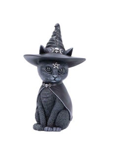 Magic Hat cat