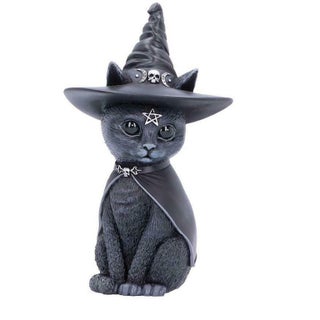 Magic Hat cat