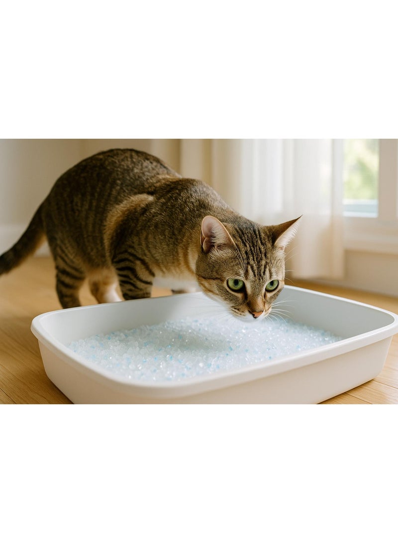 King Star Crystal Silica Gel Cat Litter 5L | Ultra Absorbent Crystal Litter | Superior Odor Control | Low Dust | Long Lasting | Hygienic & Lightweight - Image 4