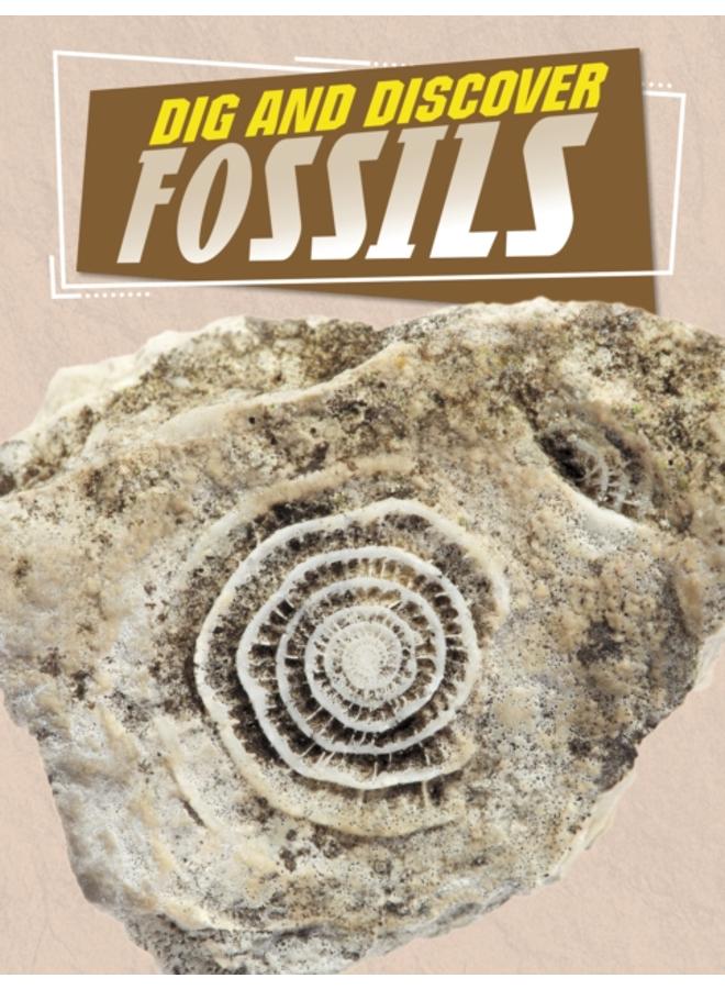 Dig and Discover Fossils 