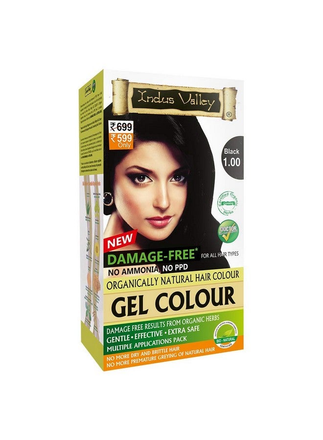 Indus Valley Damage Free Natural Gel Hair Colour Women | Ammonia & Ppd Free Organic Hair Colour With 100% Grey Coverage, Long Lasting Conditioning Hair Color | Black 1.00 - Pack Of 2 (2X220 = 400 Ml) - Image 2
