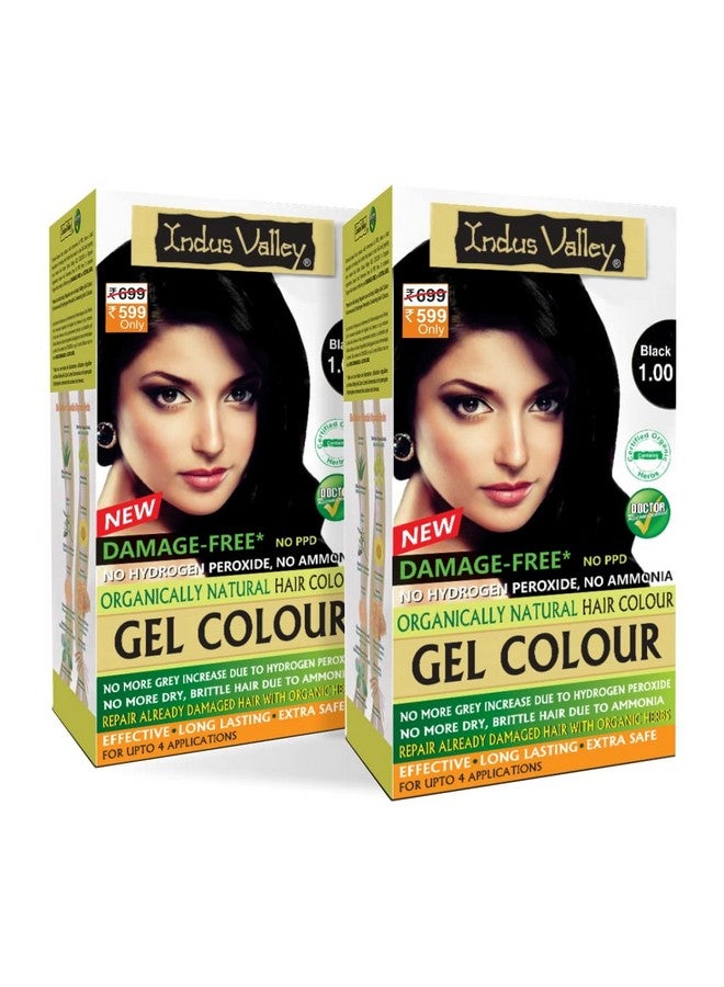 Indus Valley Damage Free Natural Gel Hair Colour Women | Ammonia & Ppd Free Organic Hair Colour With 100% Grey Coverage, Long Lasting Conditioning Hair Color | Black 1.00 - Pack Of 2 (2X220 = 400 Ml) - Image 1