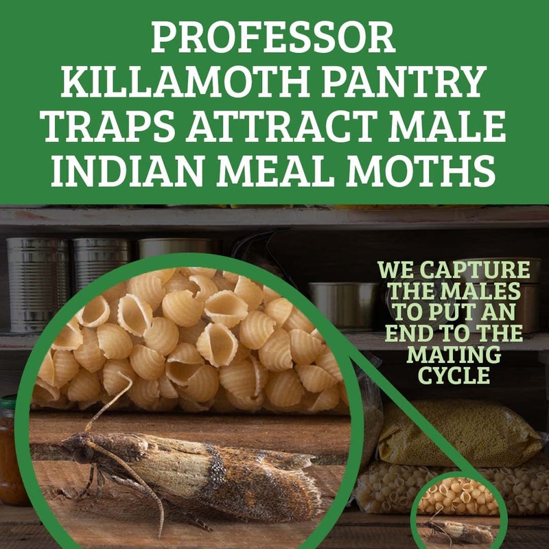Professor Killamoth Pantry Moth Traps 6 Pack | Child and Pet Safe | No Insecticides | Premium Attractant - Image 3