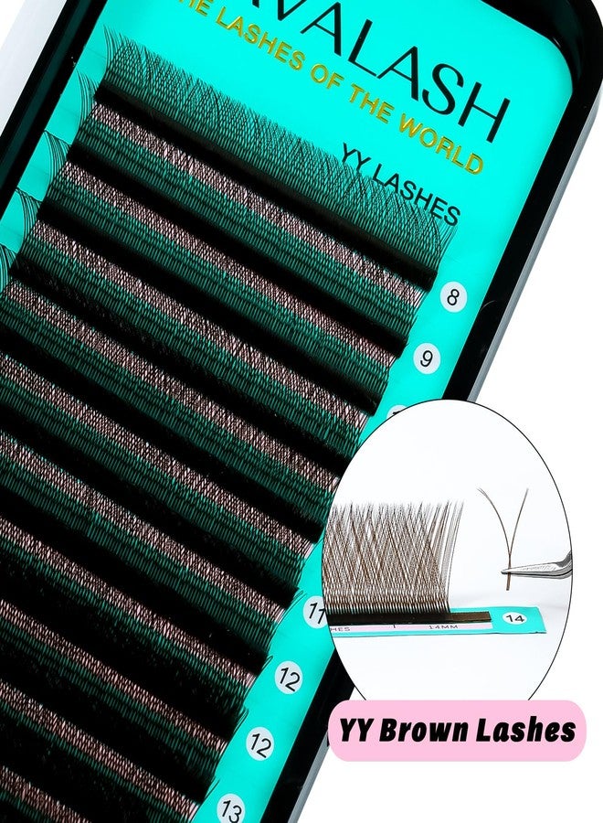 VAVALASH YY Lash Extensions Brown Color Tray Easy Premade Volume 2D Fans Eyelash Extension YY Type Natural Volume Lashes Extension Soft Matte Black Lashes (Brown-YY-0.07-C-8-15mm) - Image 2