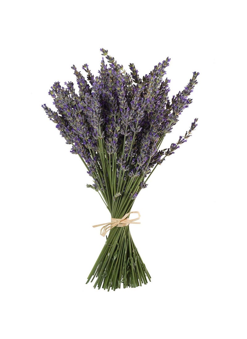 TooGet TooGet Natural Lavender Bundles Freshly Harvested 200 Stems Dried Lavender Bunch 16  18 Long Decorative Flowers Bouquet for Home Decor Crafts Gift Wedding or Any Occasion 