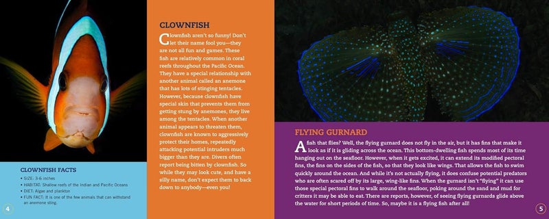 Clownfish Aren't So Funny: Fascinating Facts about Some of the Ocean's Most Misunderstood Creatures - Image 3