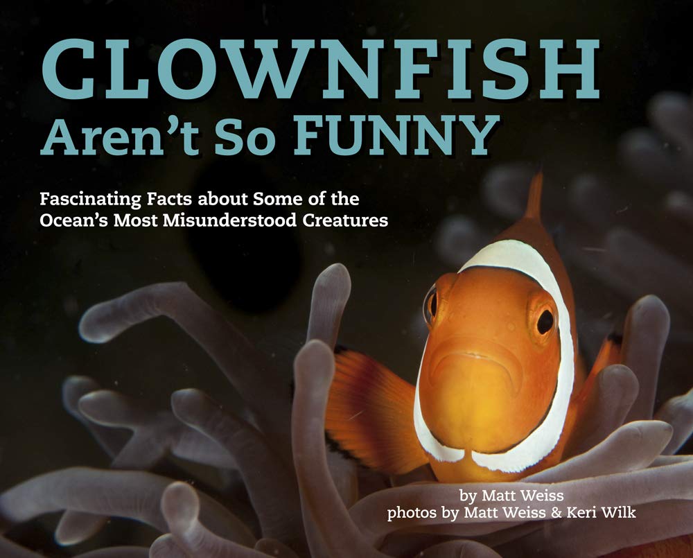 Clownfish Aren't So Funny: Fascinating Facts about Some of the Ocean's ...