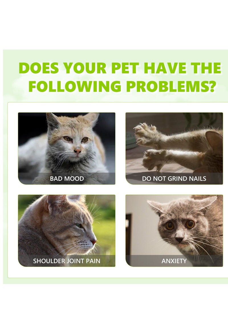 Catnip Spray Relieves cats' irritability, enhances pet vitality, and health care spray - Image 5