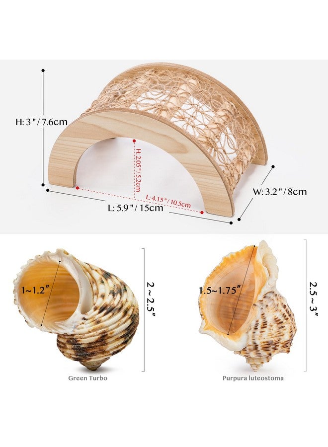 Generic Hermit Crab Climbing Bridge Toy, 2 Medium Sized Hermit Crab Shells, Hermit Crab Accessories, Great for Most Aquariums and Tanks, Provides Your Pet with Plenty of Climbing Fun and Hiding Place  - Image 2