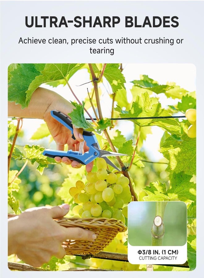 Fondwell 6.5" Pruning Shears Trimming Scissors: Small Garden Snips with Micro Tip - Plant Clippers of High Cutting Efficiency - Image 3