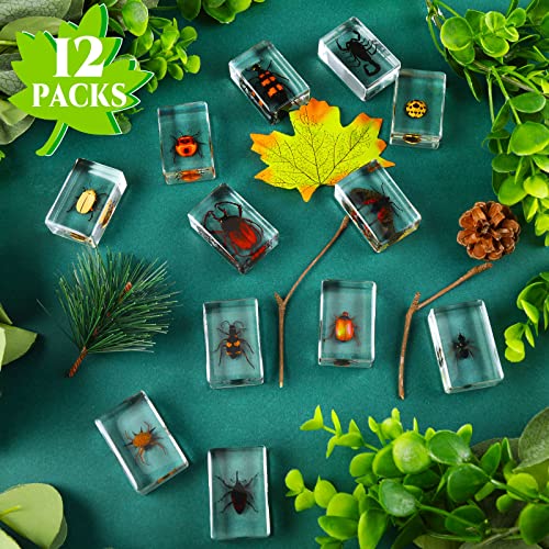Macarrie 12 Pcs Insect Specimens, Bugs Collection Real Specimens of Butterflies and Beetles Made of Resin for Kids Classroom Science Education Animal Collection, Bug Preserved, Biology(Ladybug) - Image 2