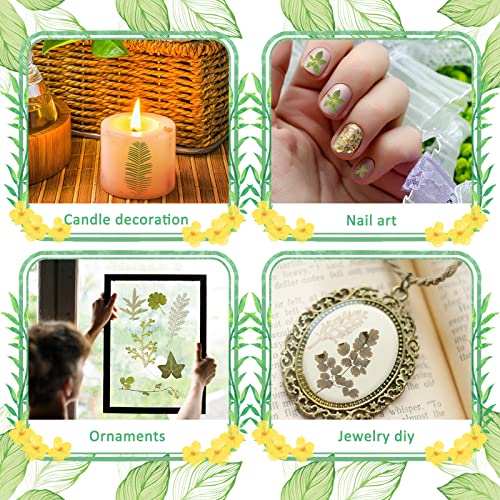 Timtin 84 Pieces Dried Pressed Leaves Flowers for Resin Mini Dried Flowers for Crafts Greenery Assorted for Art DIY Handmade Bookmarks 4 Bags(Vivid Style) - Image 4