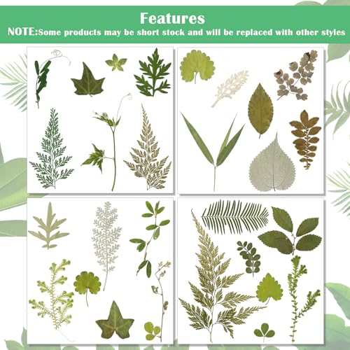 Timtin 84 Pieces Dried Pressed Leaves Flowers for Resin Mini Dried Flowers for Crafts Greenery Assorted for Art DIY Handmade Bookmarks 4 Bags(Vivid Style) - Image 3