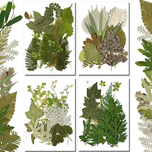 Timtin 84 Pieces Dried Pressed Leaves Flowers for Resin Mini Dried Flowers for Crafts Greenery Assorted for Art DIY Handmade Bookmarks 4 Bags(Vivid Style) - Image 1