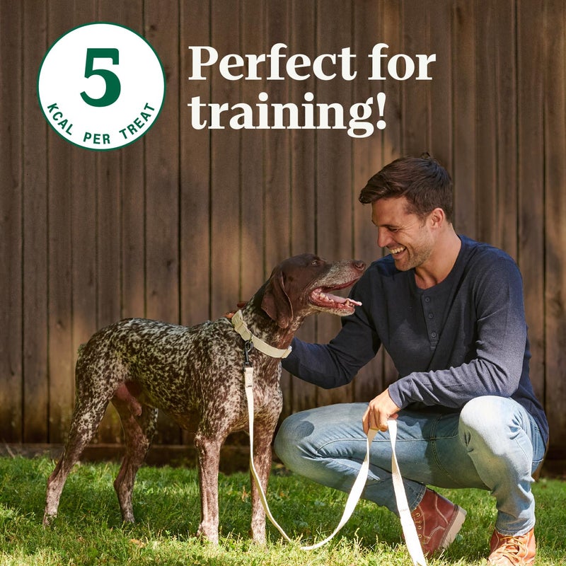 Nutro Crunchy Dog Treats with Real Peanut Butter, 16 oz. Bag - Image 3