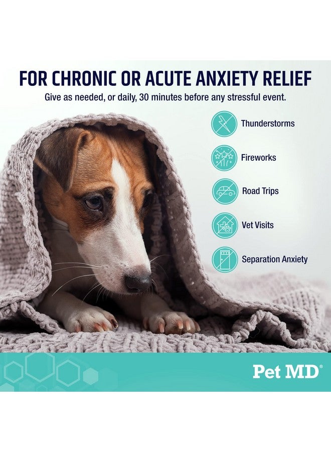 Pet MD Calming Chews for Dogs - Separation Anxiety Relief for Dogs - Enhanced with Melatonin & Ginger - Puppy & Dog Calming Treats for Chronic or Acute Anxiety - 60 ct - Image 3