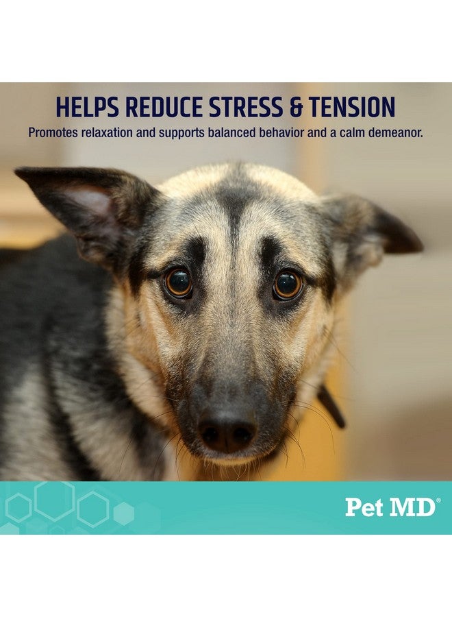 Pet MD Calming Chews for Dogs - Separation Anxiety Relief for Dogs - Enhanced with Melatonin & Ginger - Puppy & Dog Calming Treats for Chronic or Acute Anxiety - 60 ct - Image 2