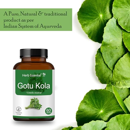 Herb Essential Gotu Kola Tablets 500mg, 60 Tablets (Pack of 2) Natural Brain Health Supplement | Supports Memory, Focus & Mental Clarity | Stress Relief, Anxiety Support Natural Ayurvedic Herb - Image 4